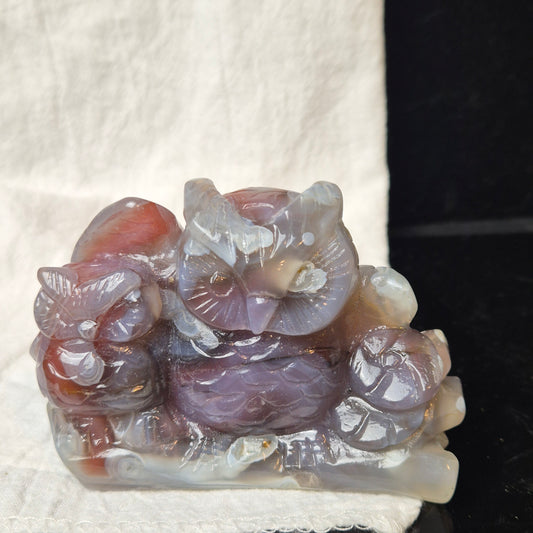 Swazi agate owls (rare)