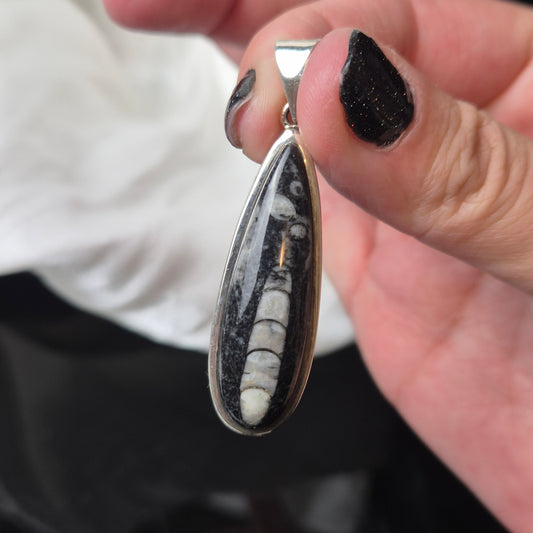 Orthoceras fossil pendant