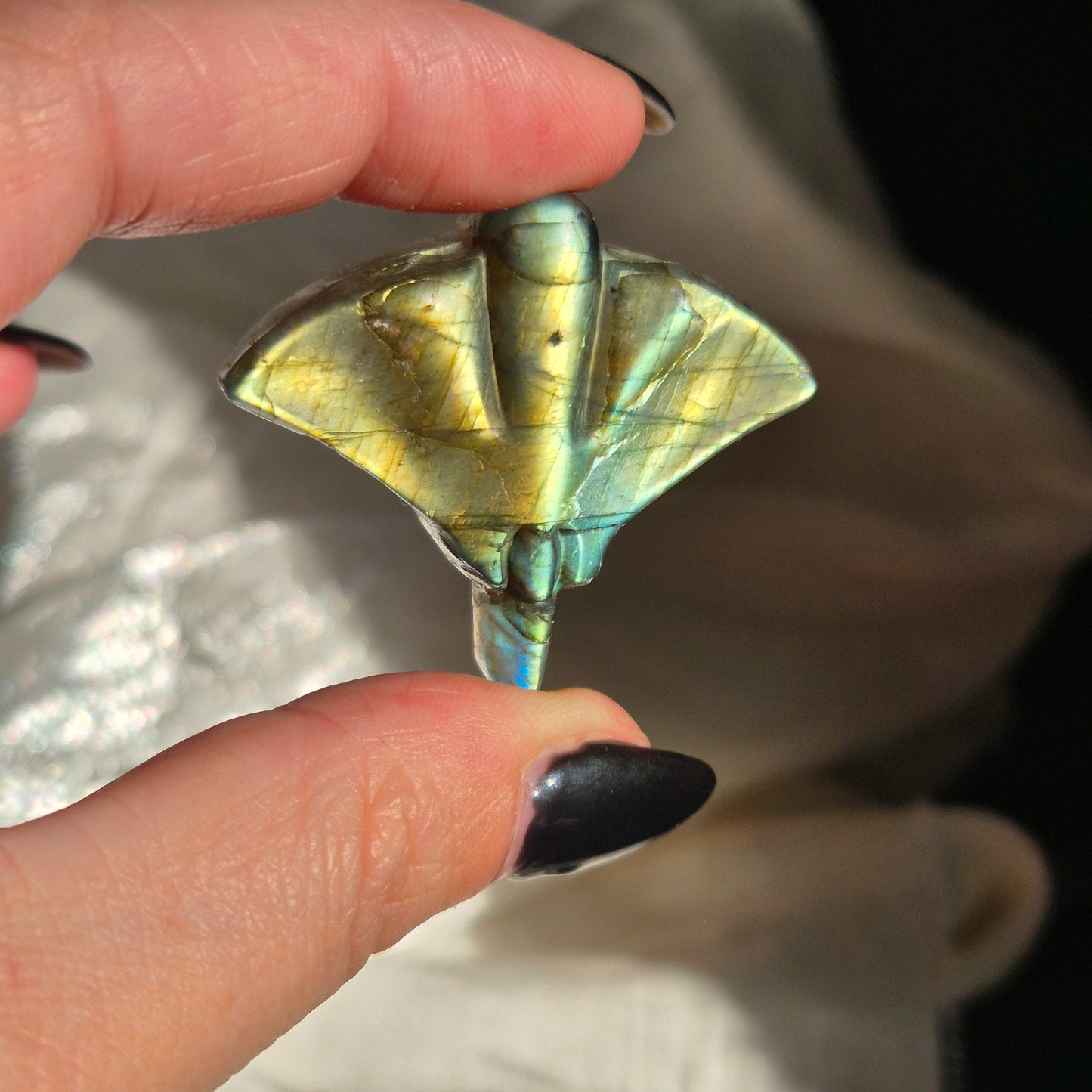 Labradorite stingray