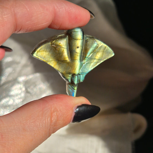 Labradorite stingray