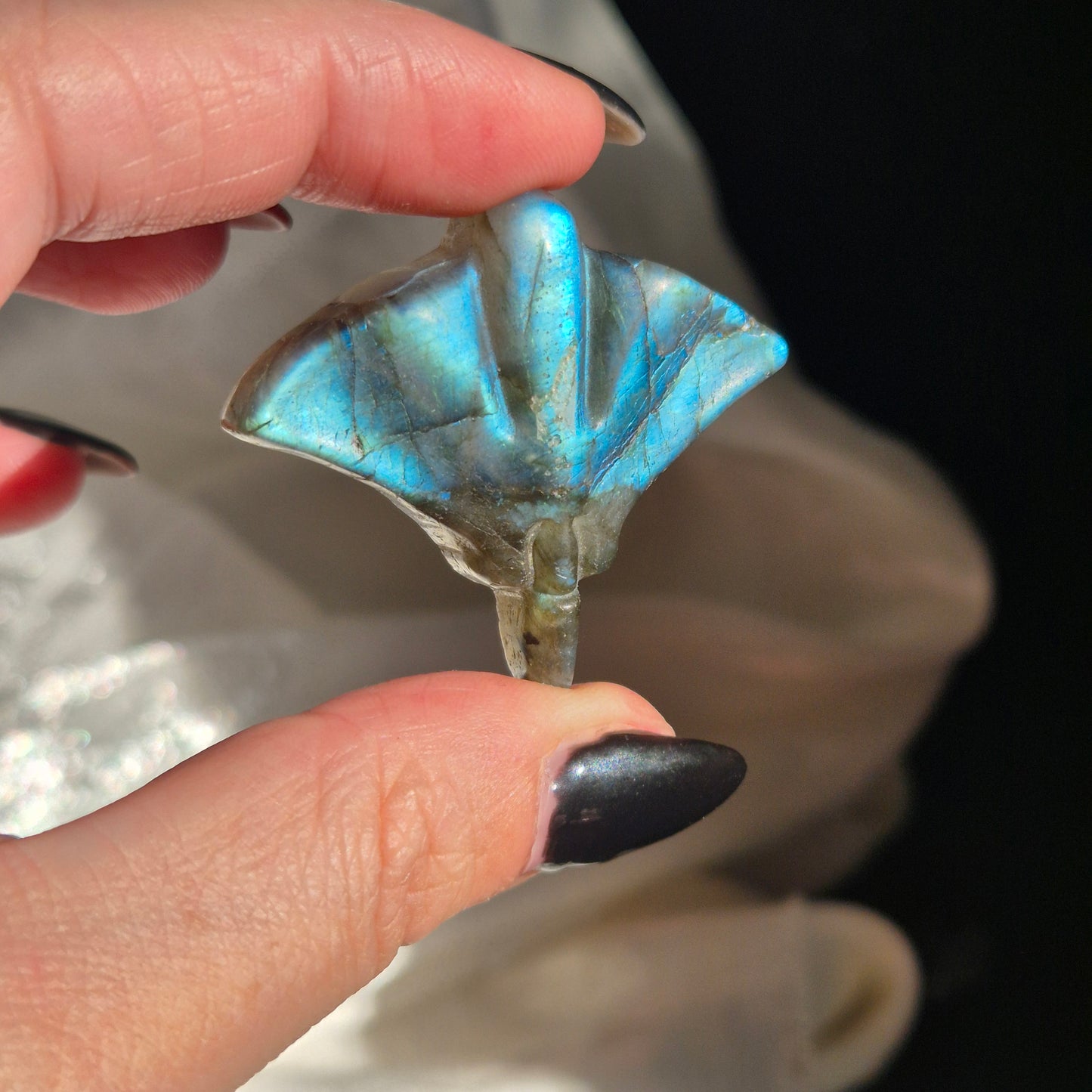 Labradorite stingray