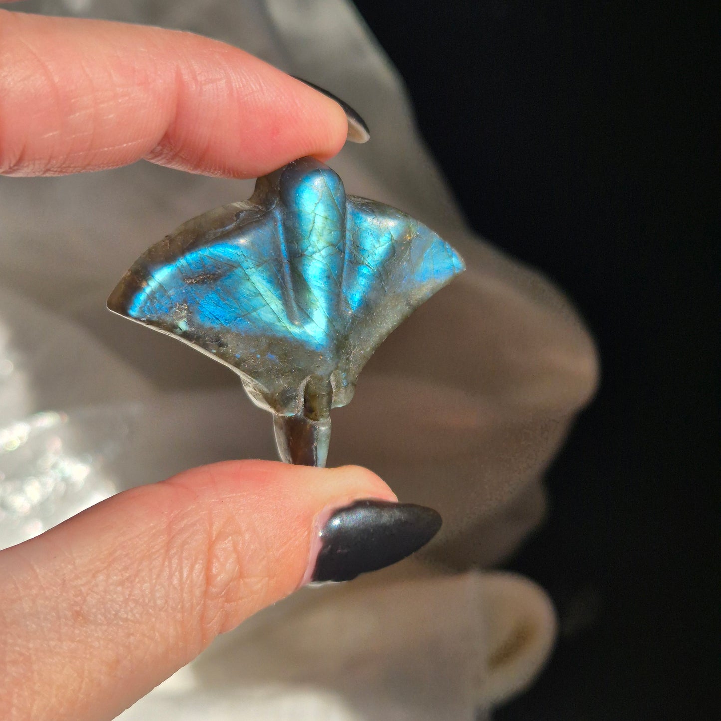 Labradorite stingray