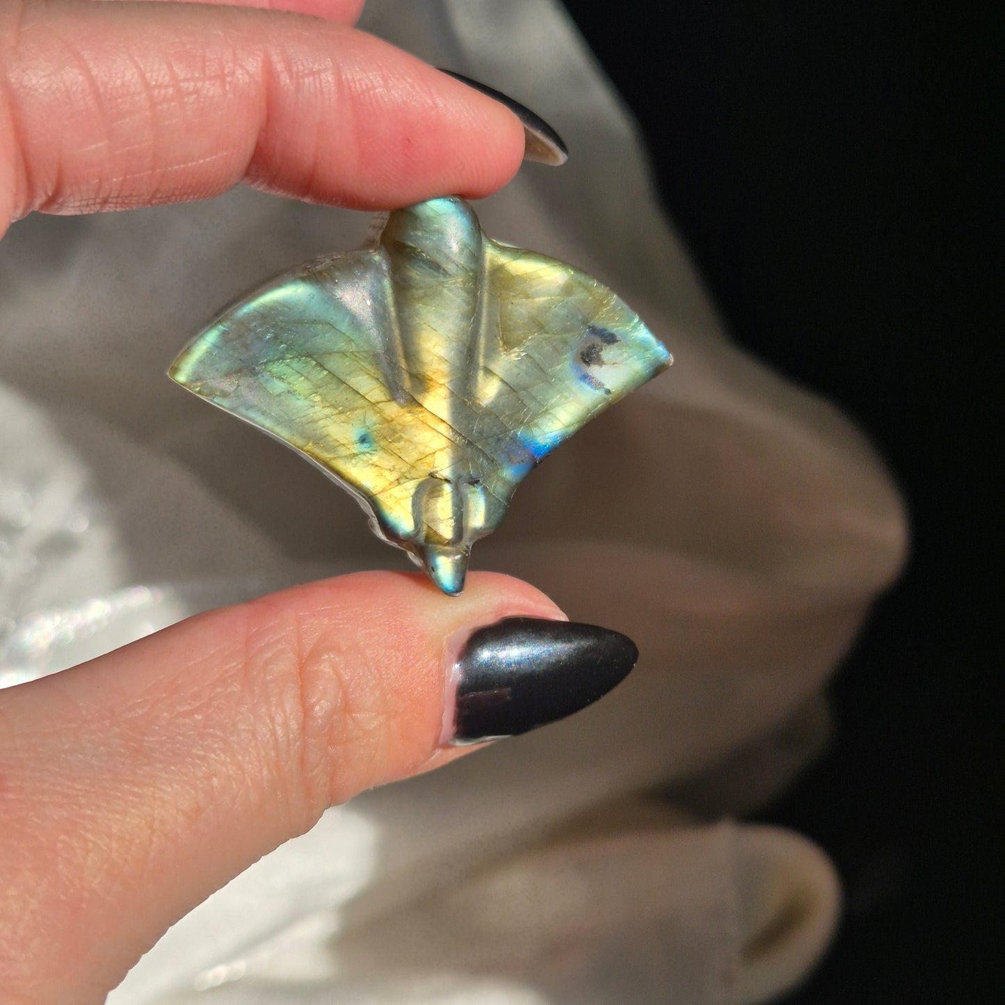 Labradorite stingray