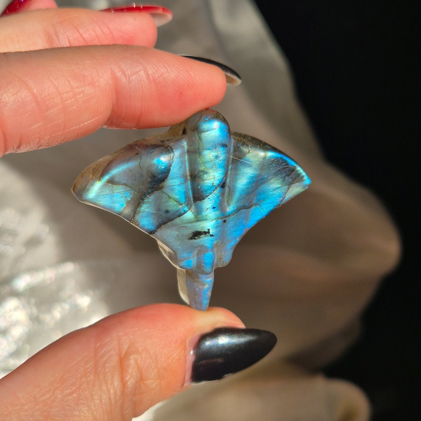 Labradorite stingray