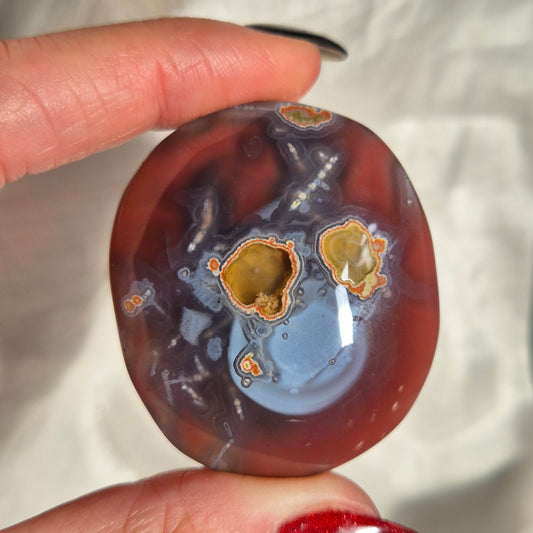 Swazi agate palm 1