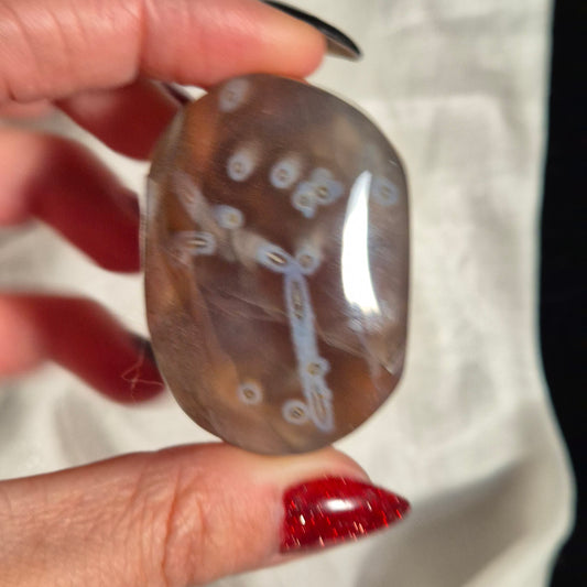 Swazi agate palm 2