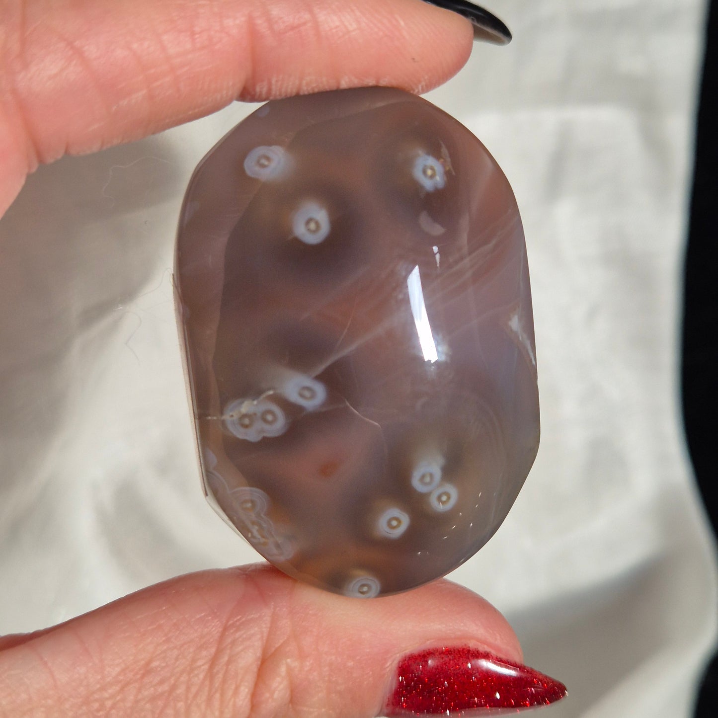 Swazi agate palm 2