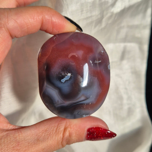 swazi agate palm 3