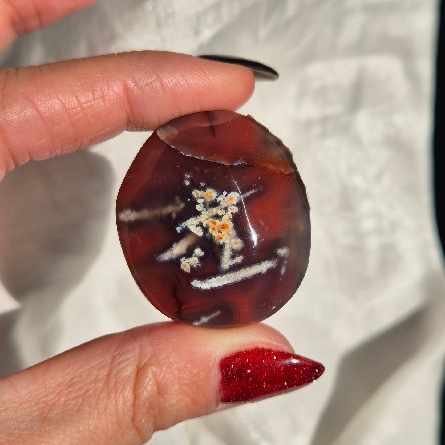 Swazi agate palm 7