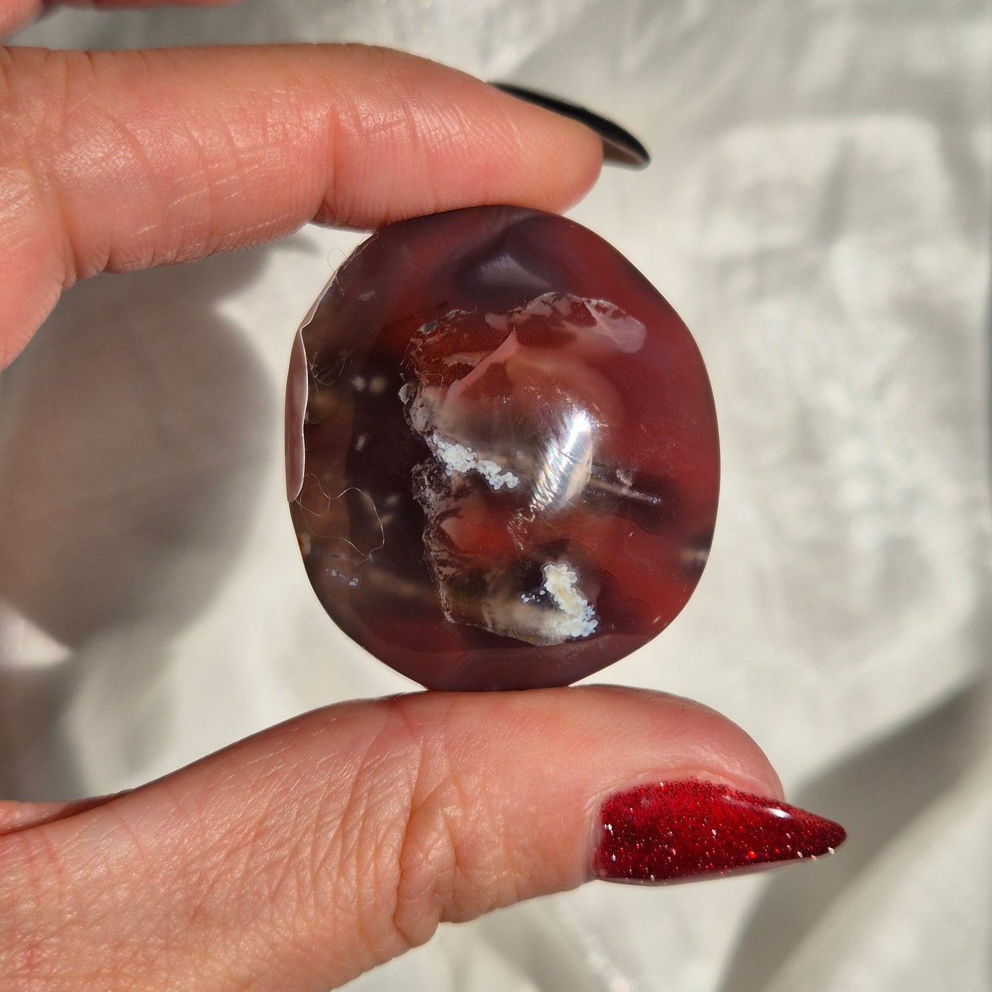 Swazi agate palm 7