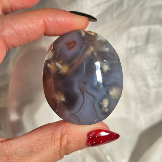 Swazi agate palm 9
