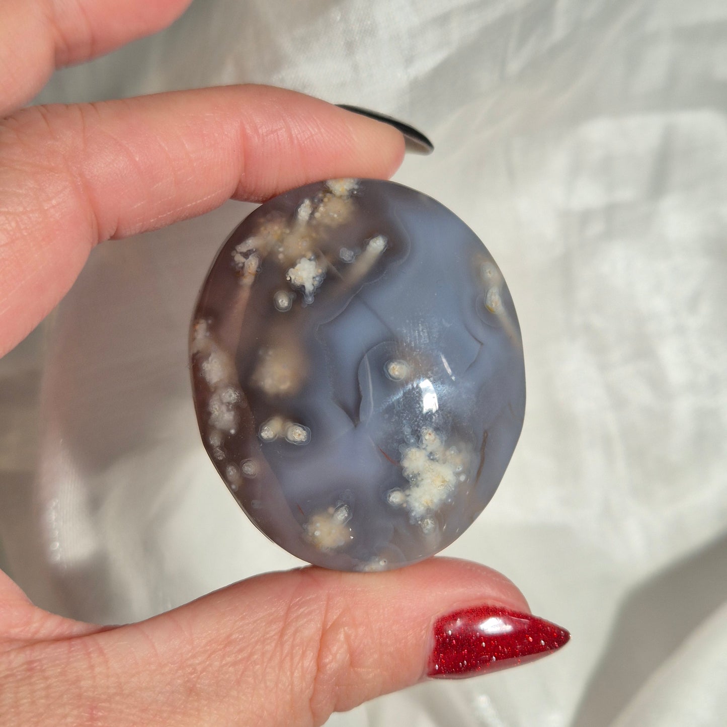 Swazi agate palm 9
