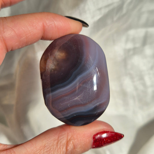 Swazi agate palm 10