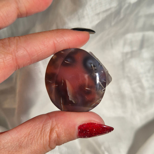 Swazi agate palm 12