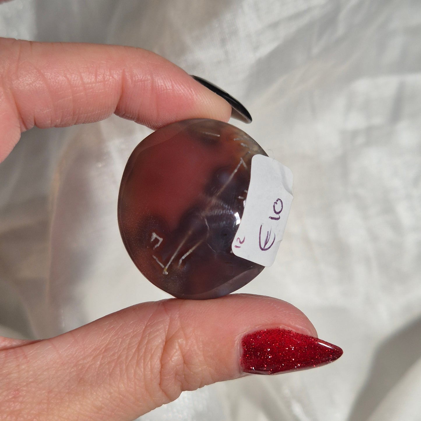 Swazi agate palm 12
