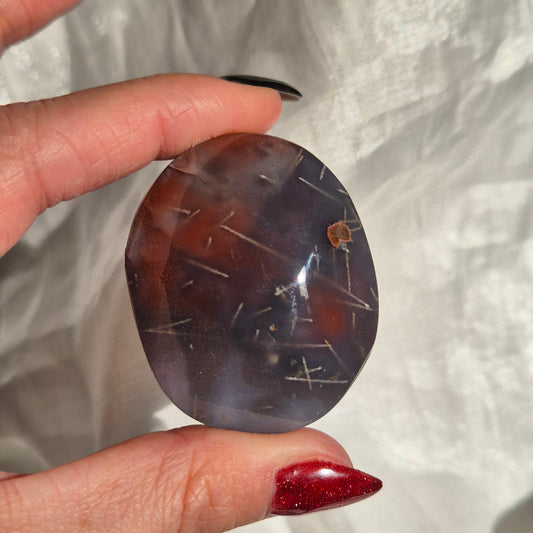 Swazi agate palm 14