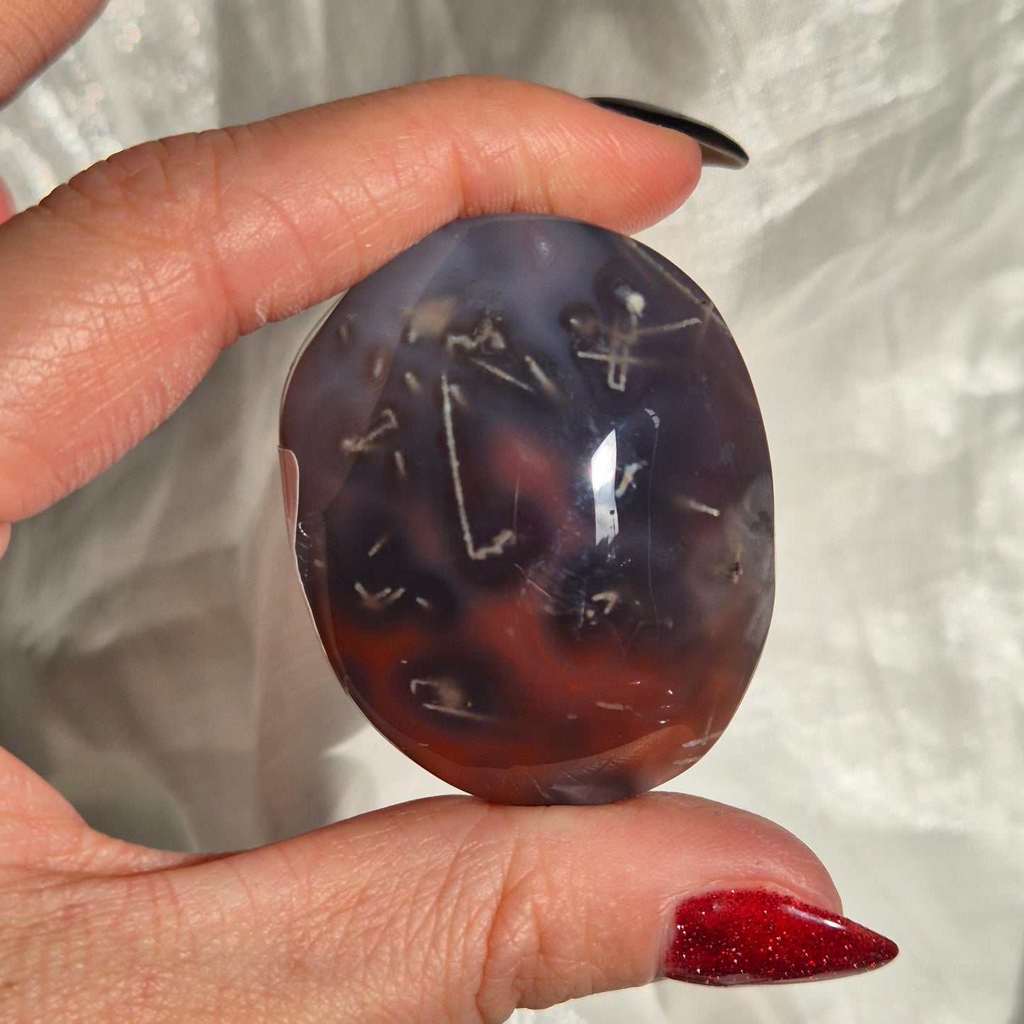 Swazi agate palm 14
