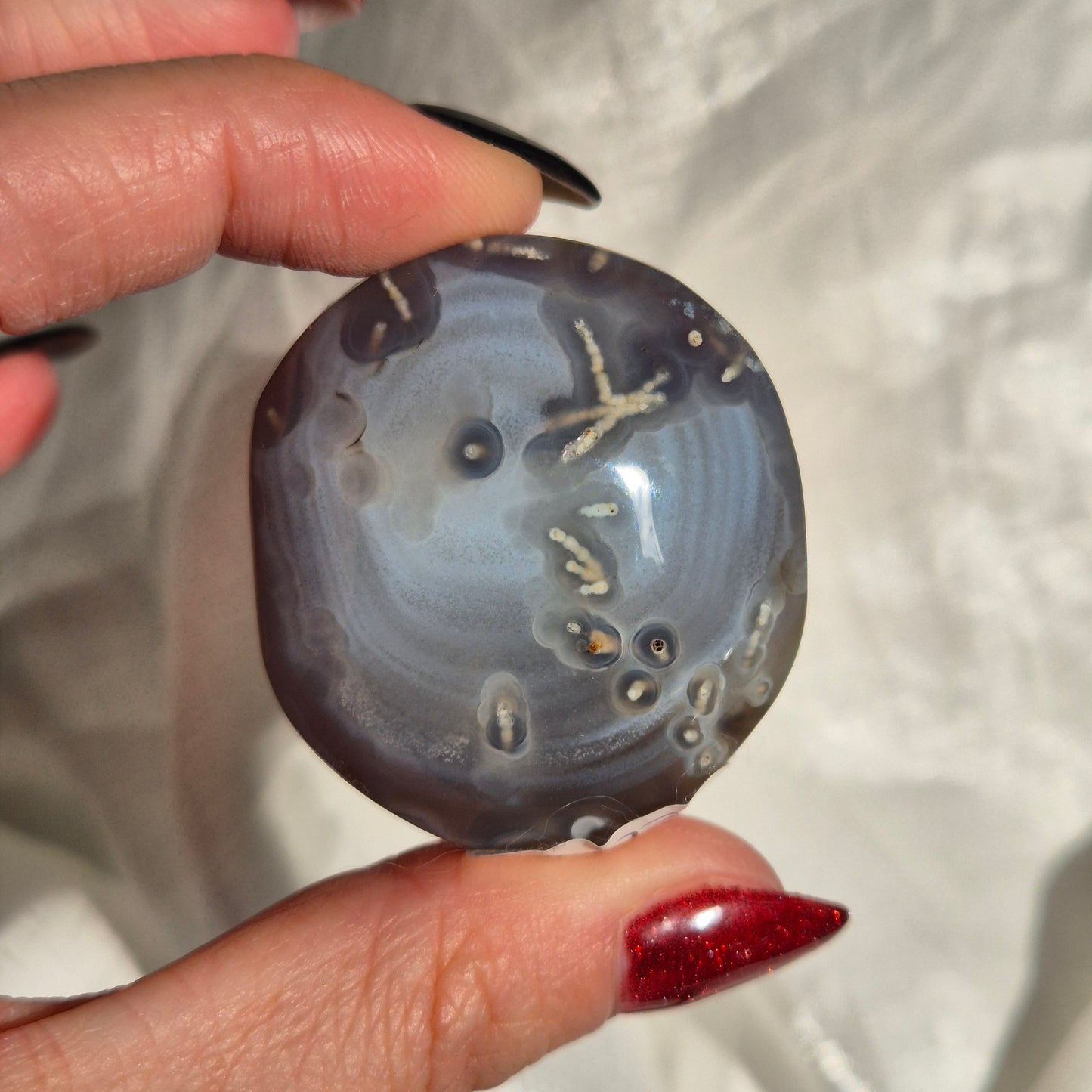 Swazi agate palm 16