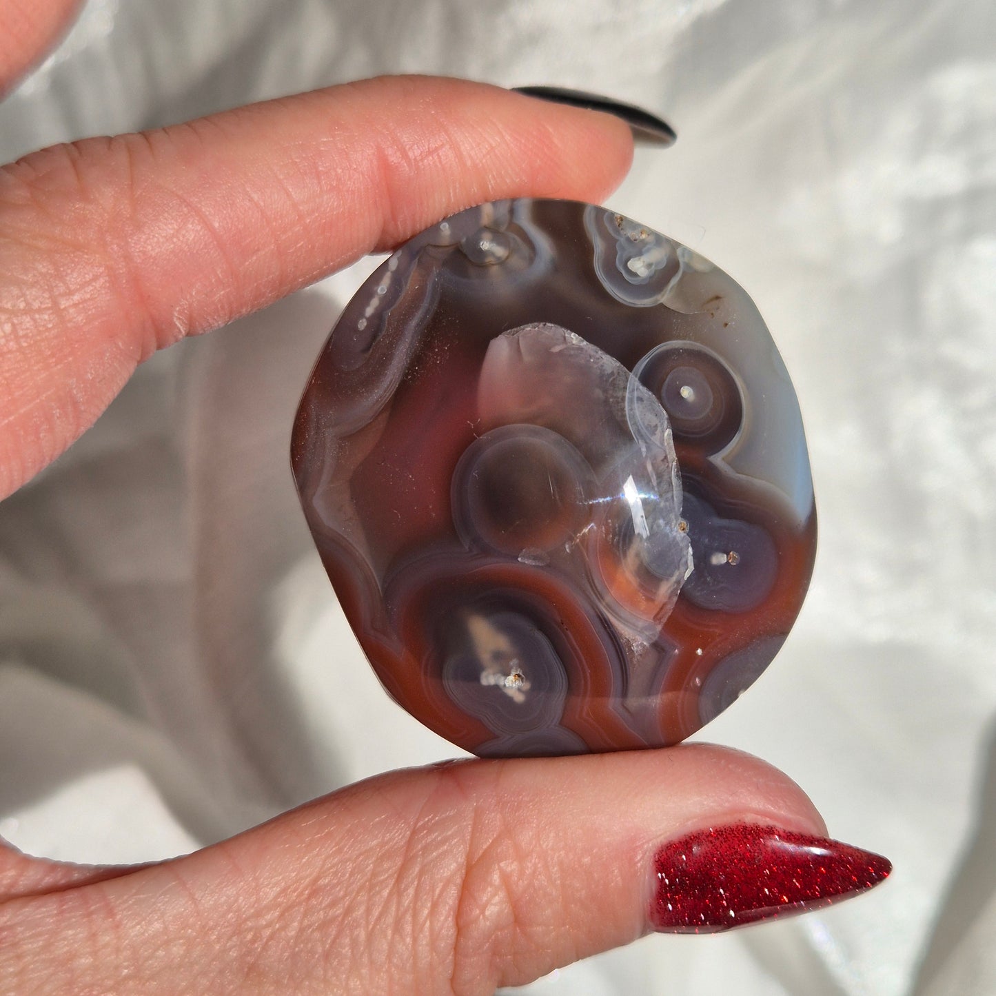 Swazi agate palm 16