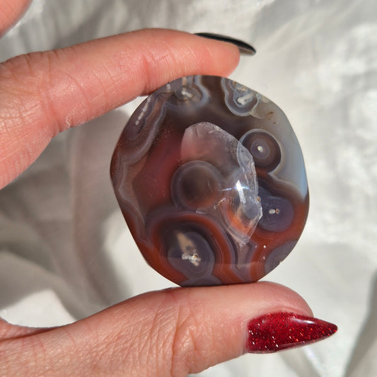 Swazi agate palm 16