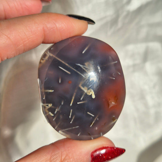 Swazi agate palm 17