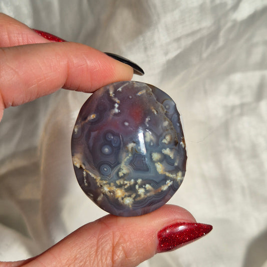 swazi agate palm 21