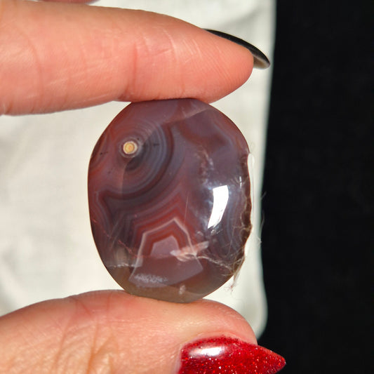 Swazi agate palm 32