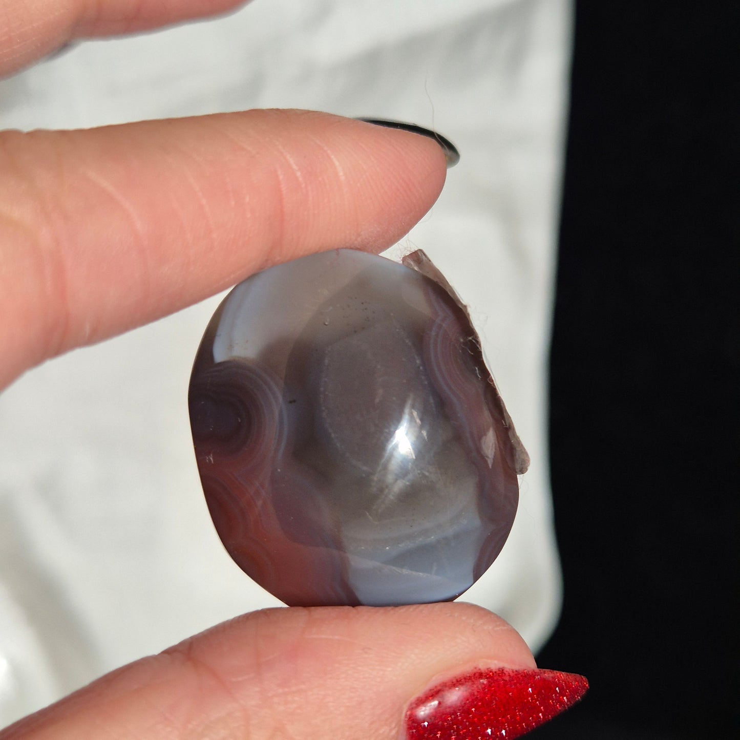 Swazi agate palm 32