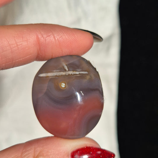 Swazi agate palm 34