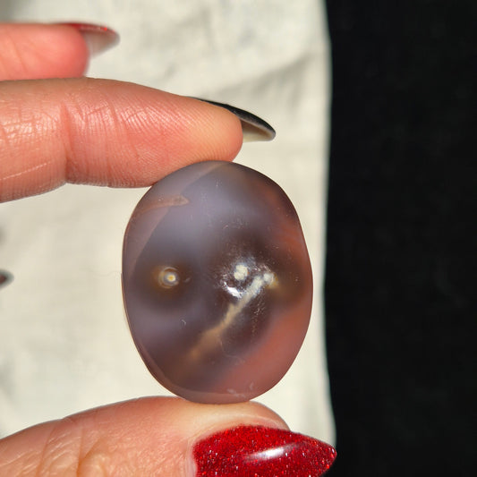 Swazi agate palm 35