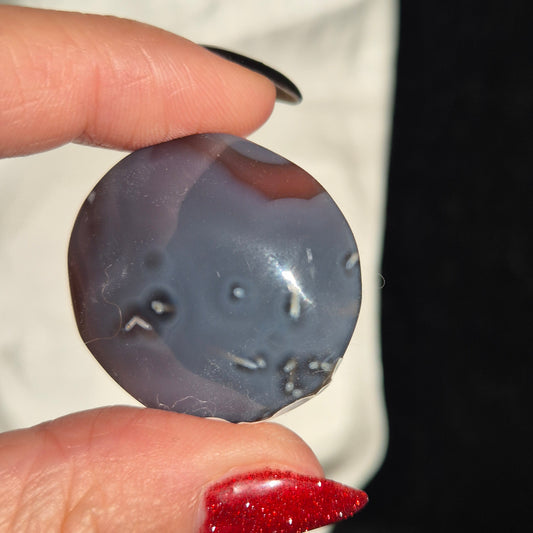Swazi agate palm 36