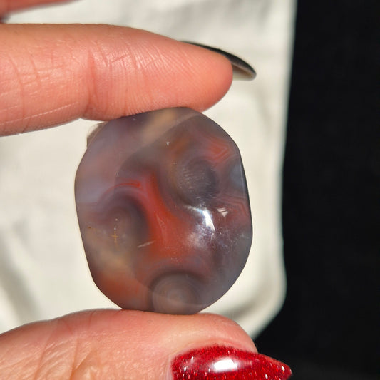 swazi agate palm 41
