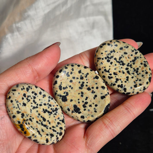 Dalmatian jasper worrystone