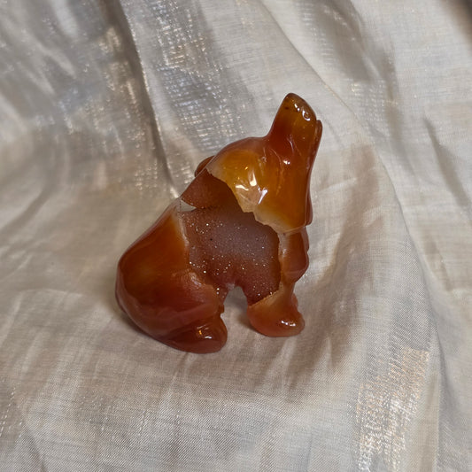 Carnelian wolf 1