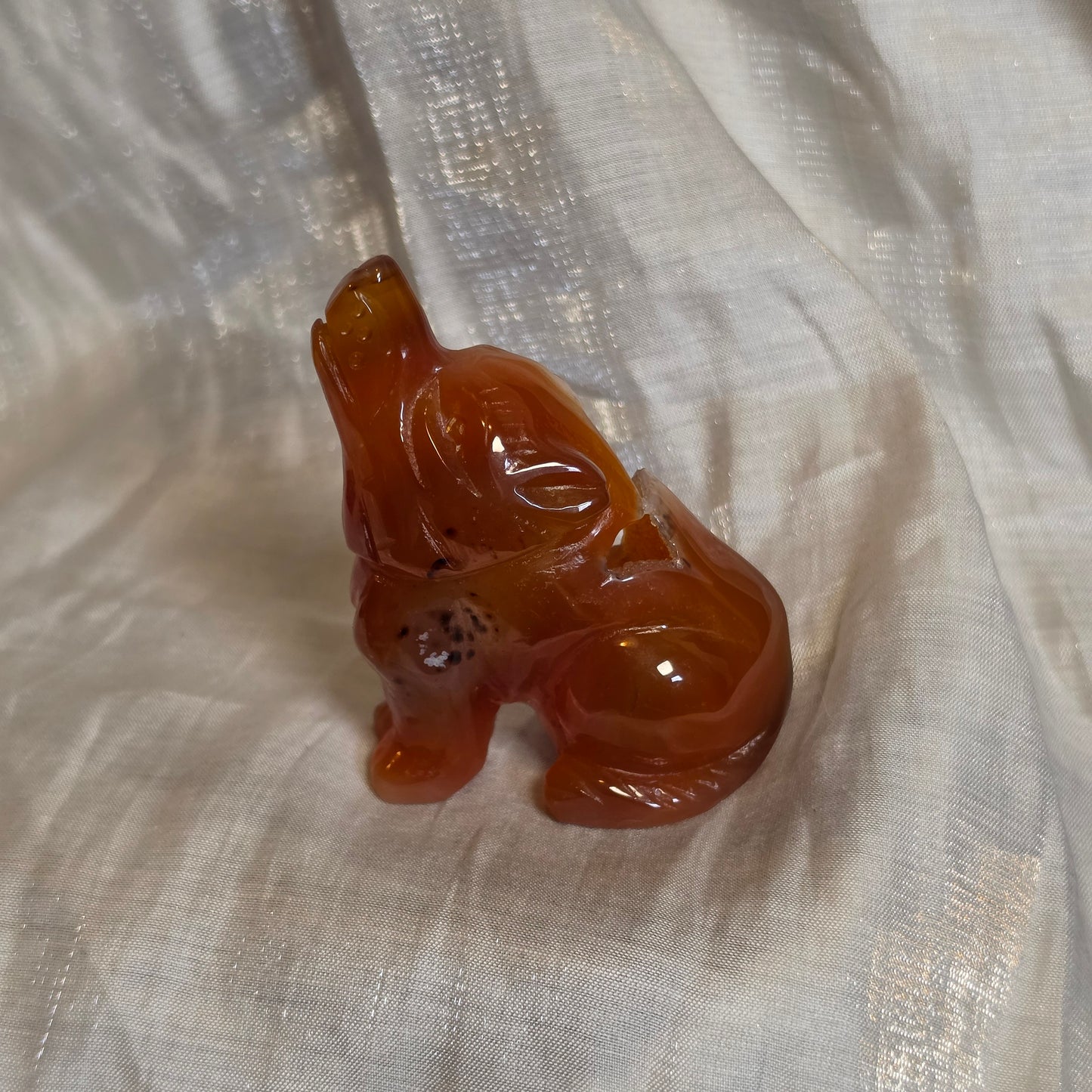 Carnelian wolf 1
