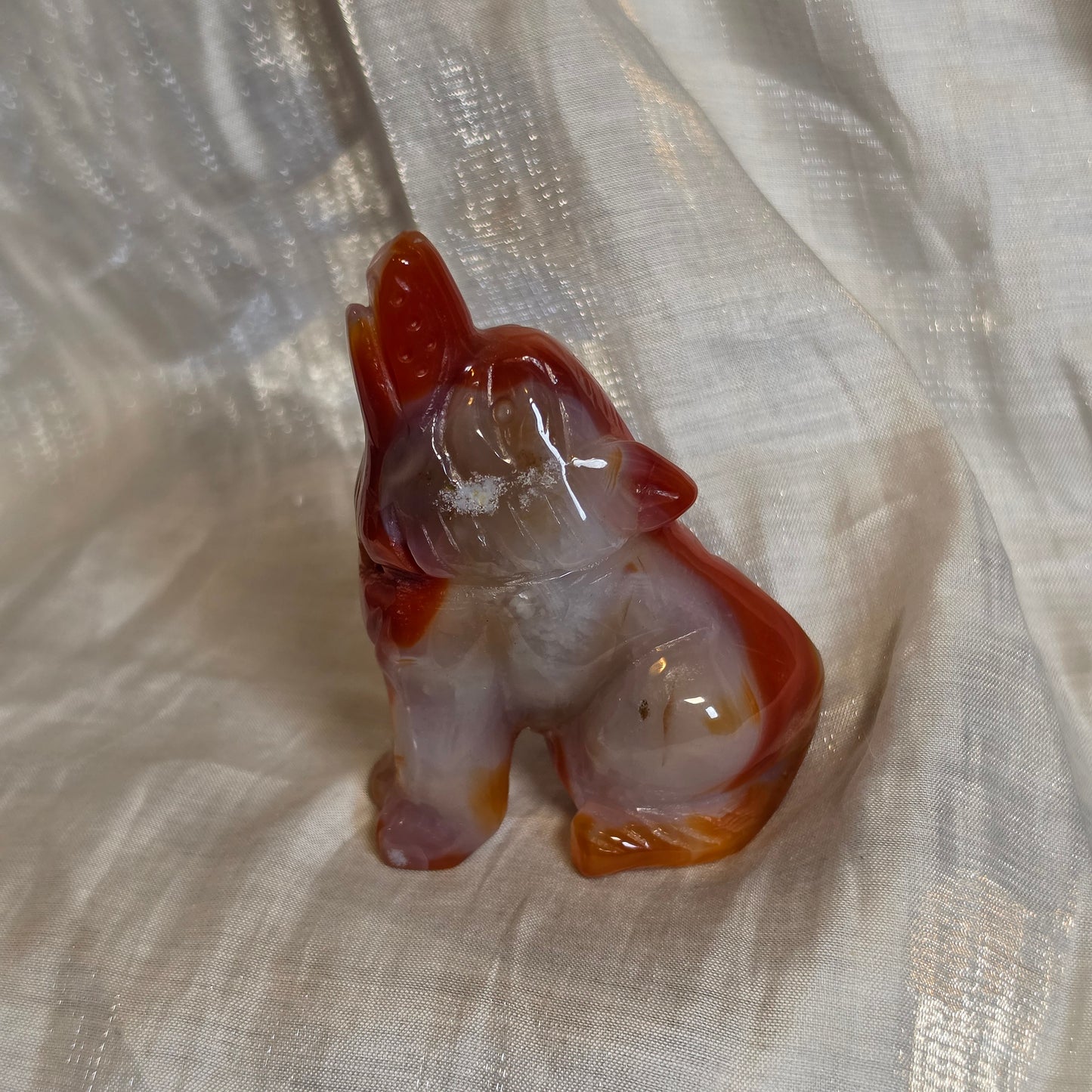 Carnelian wolf 3