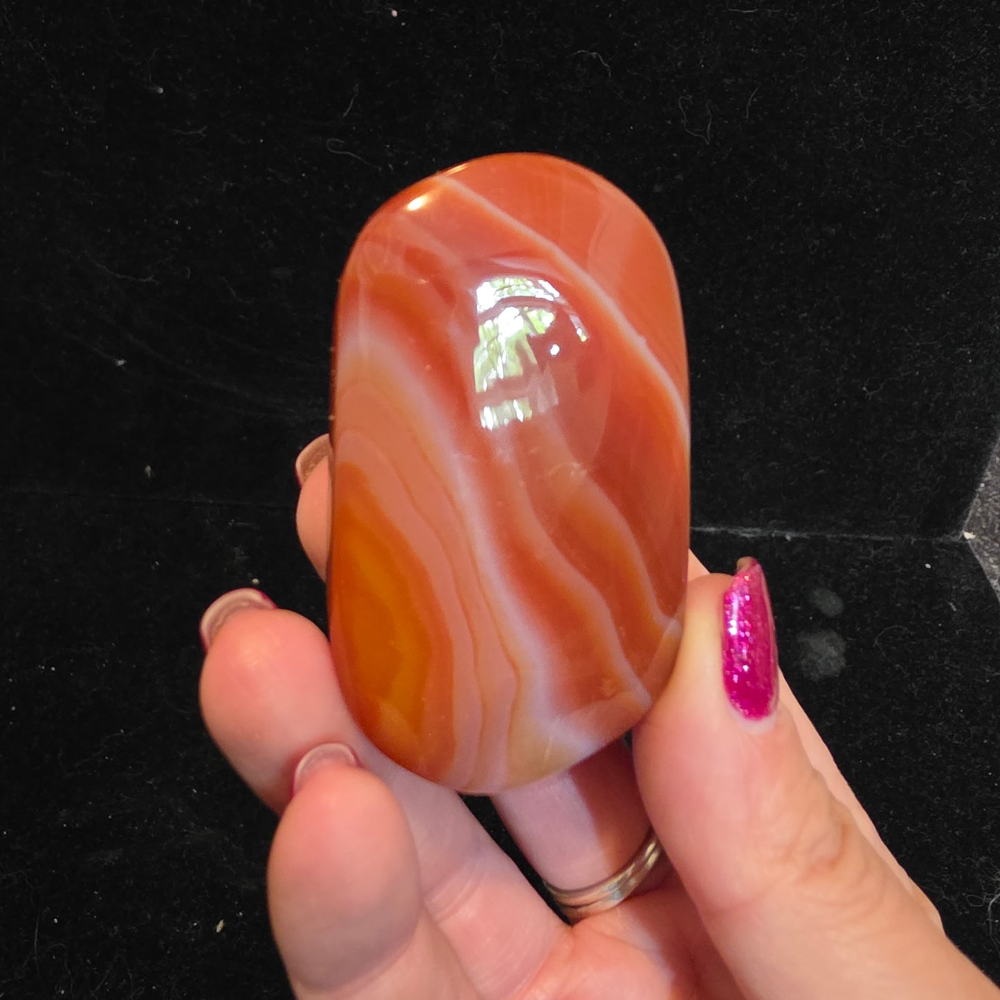 carnelian palm 8