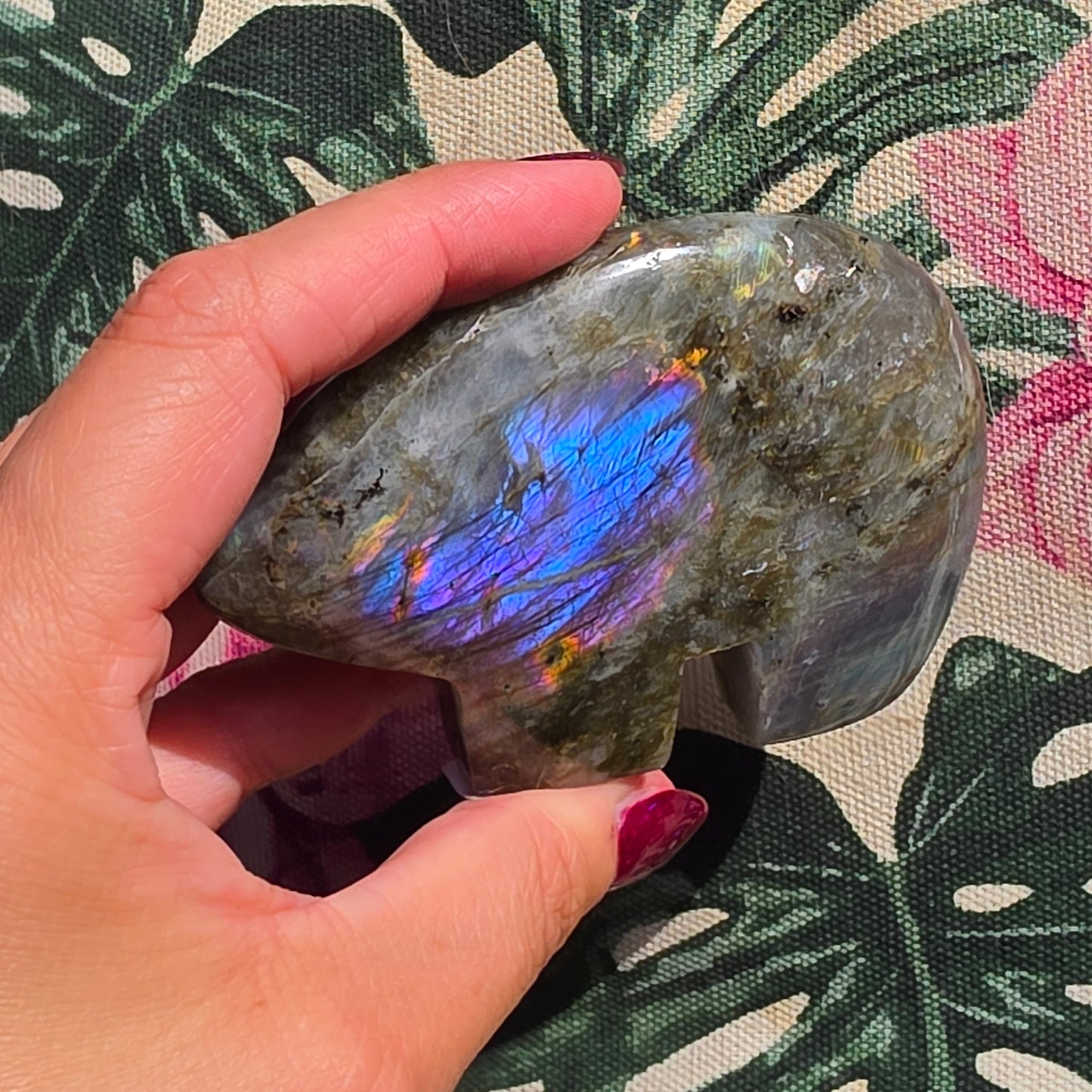 Labradorite zunibear 3