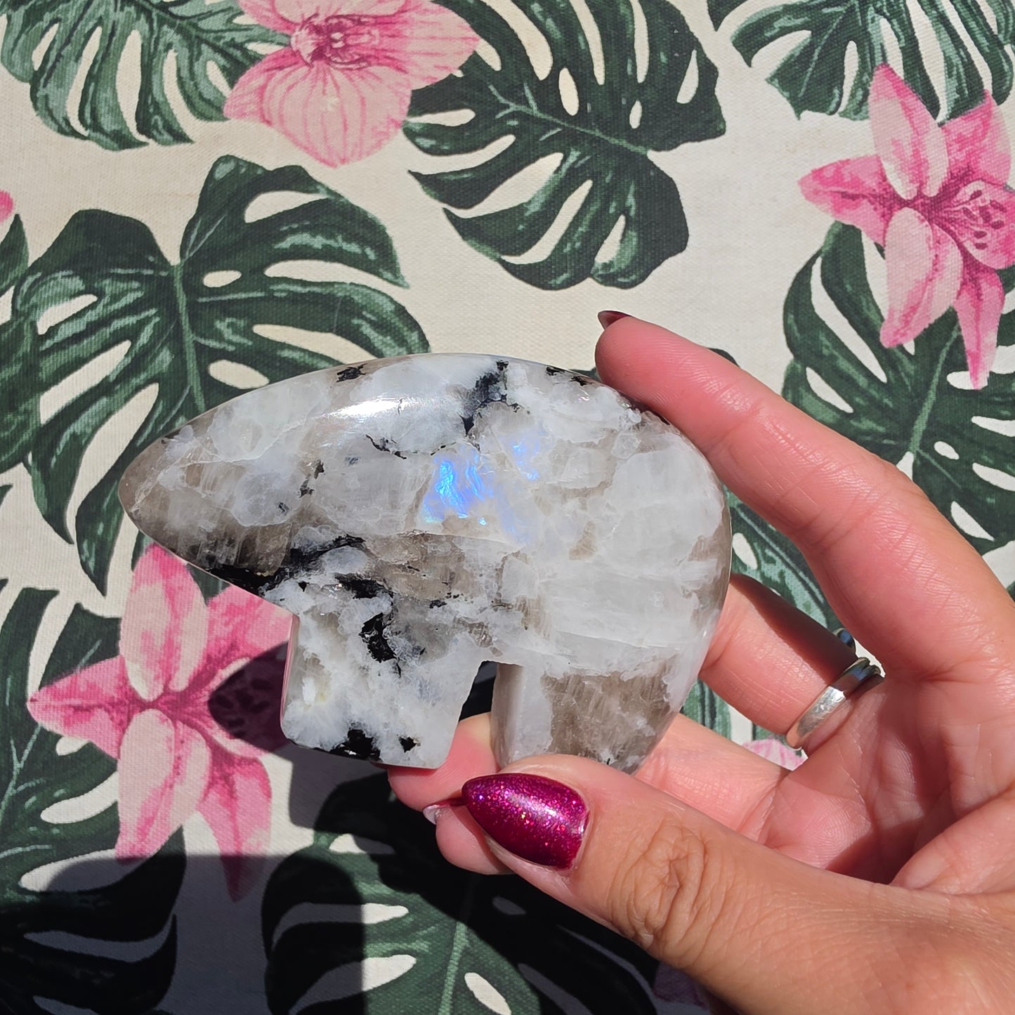 Rainbow moonstone zunibear 2