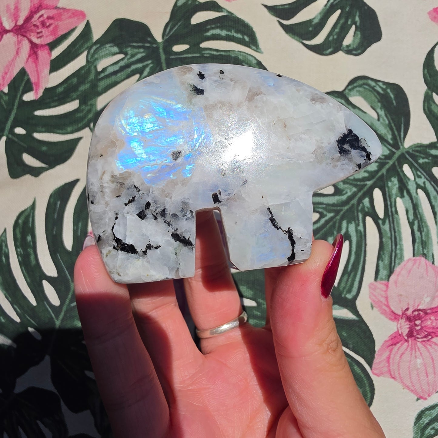 Rainbow moonstone zunibear 3
