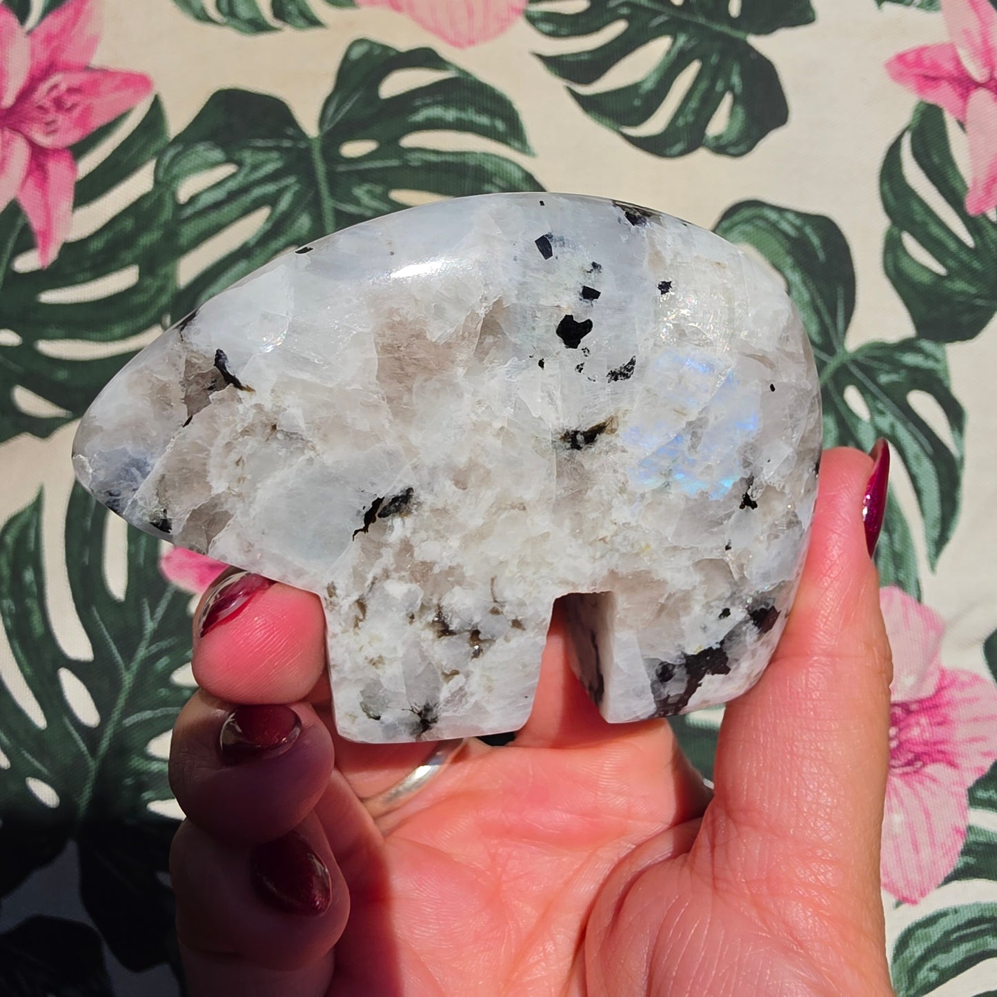 Rainbow moonstone zunibear 3