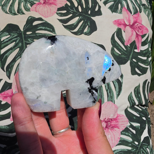 rainbow moonstone zunibear 4