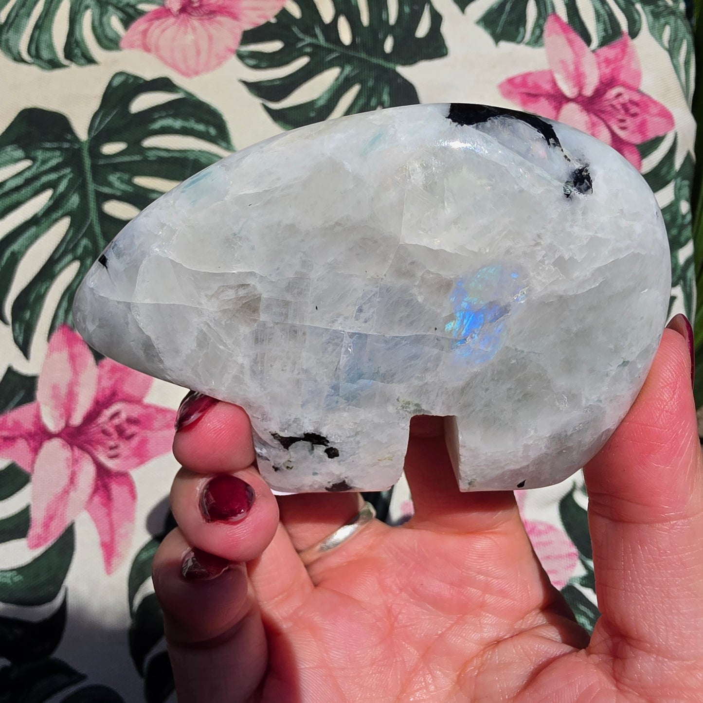 rainbow moonstone zunibear 4