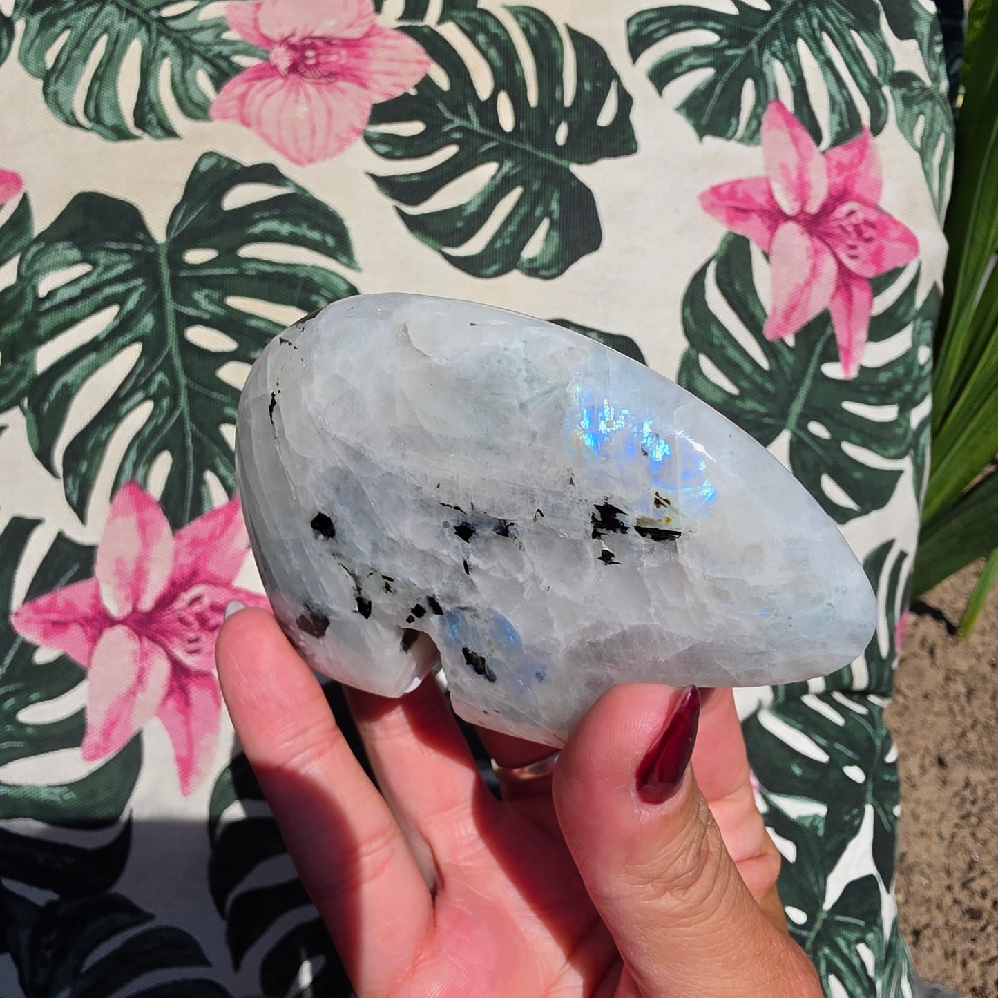 rainbow moonstone zunibear 5