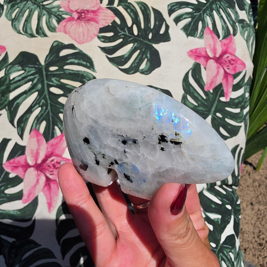 rainbow moonstone zunibear 5