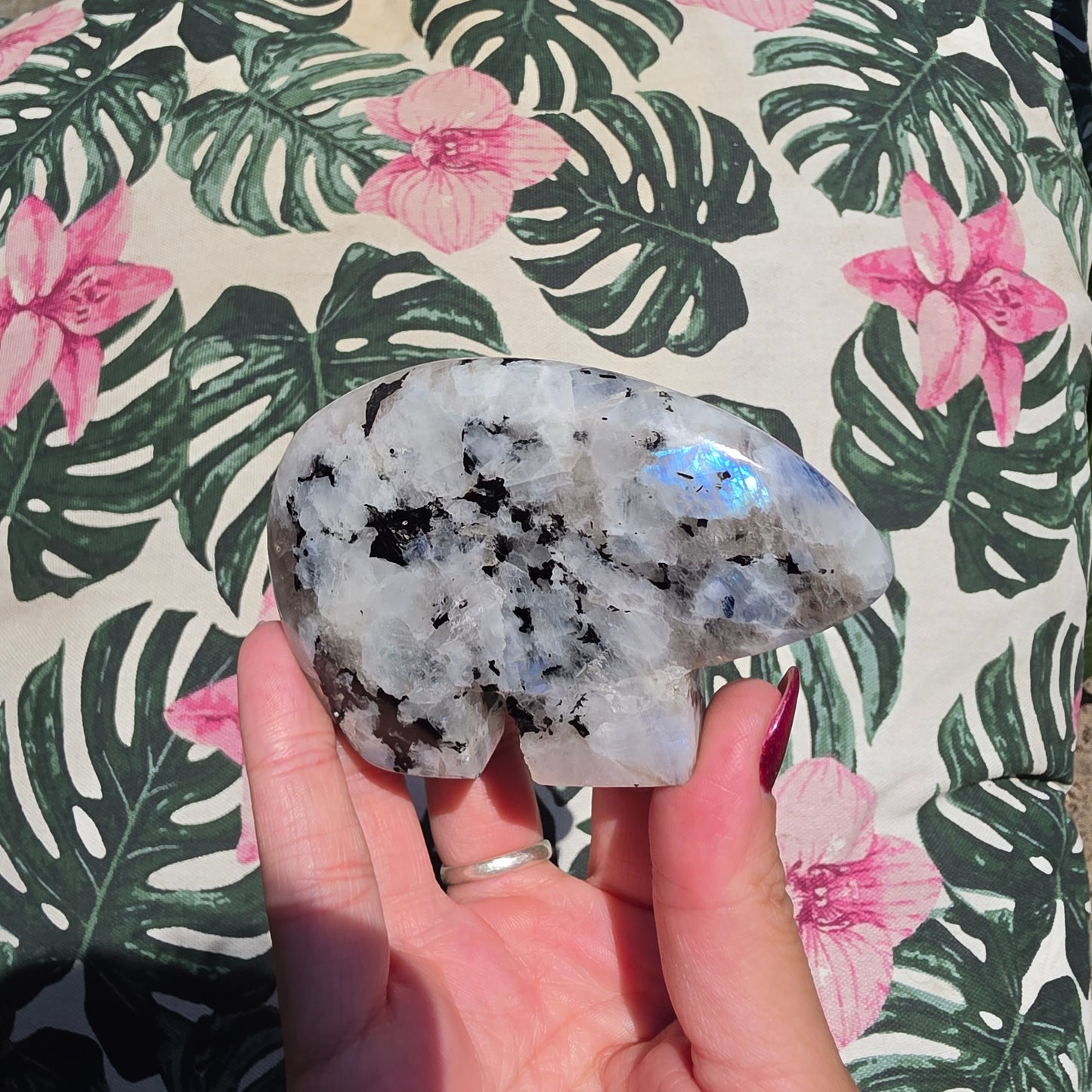 rainbow moonstone zunibear 6