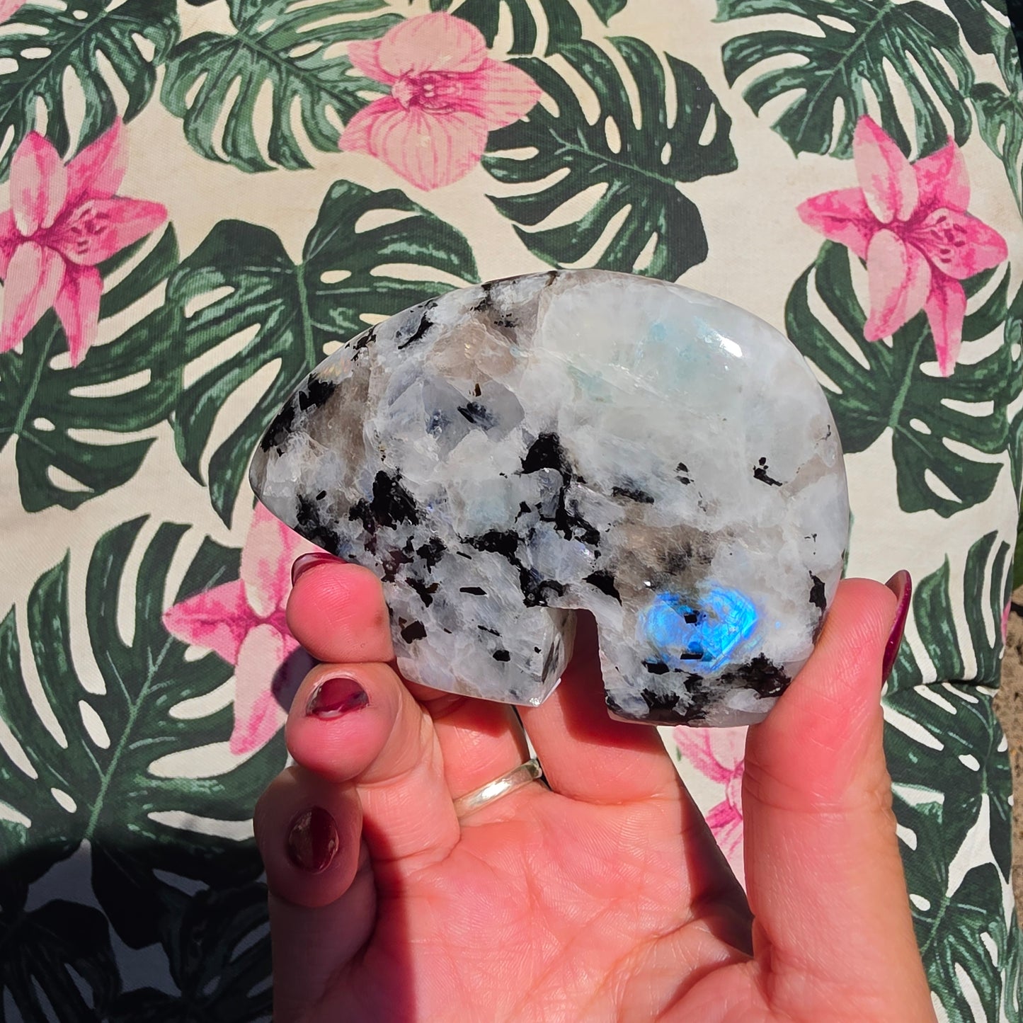 rainbow moonstone zunibear 6