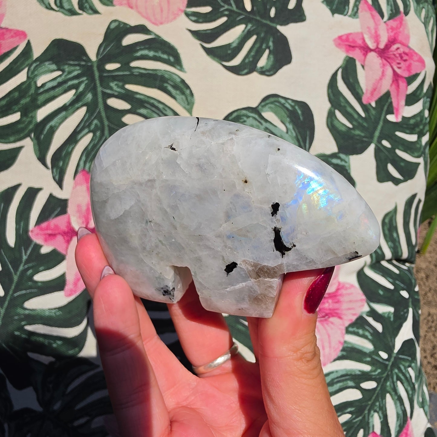 Rainbow moonstone zunibear 7