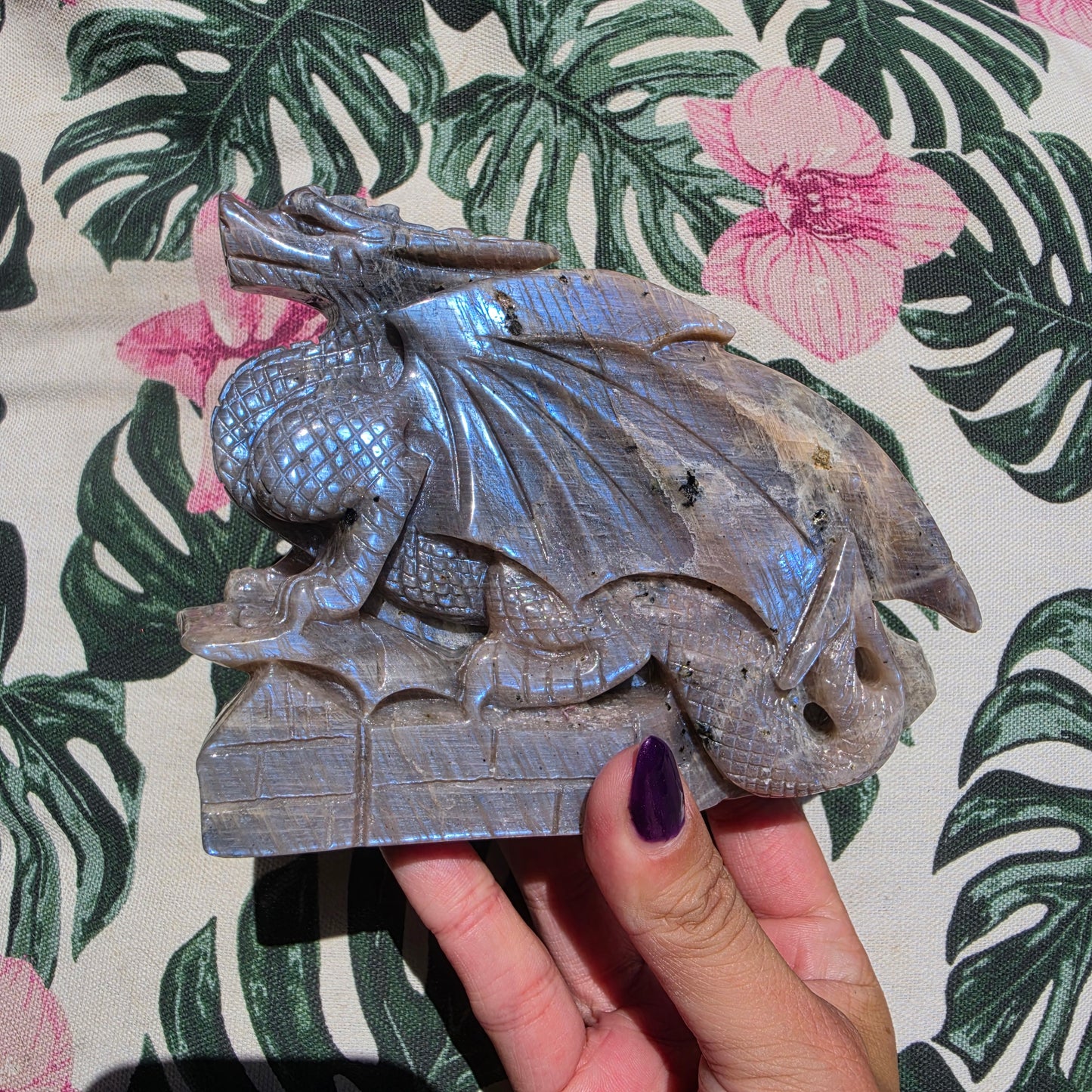 moonstone dragon 1