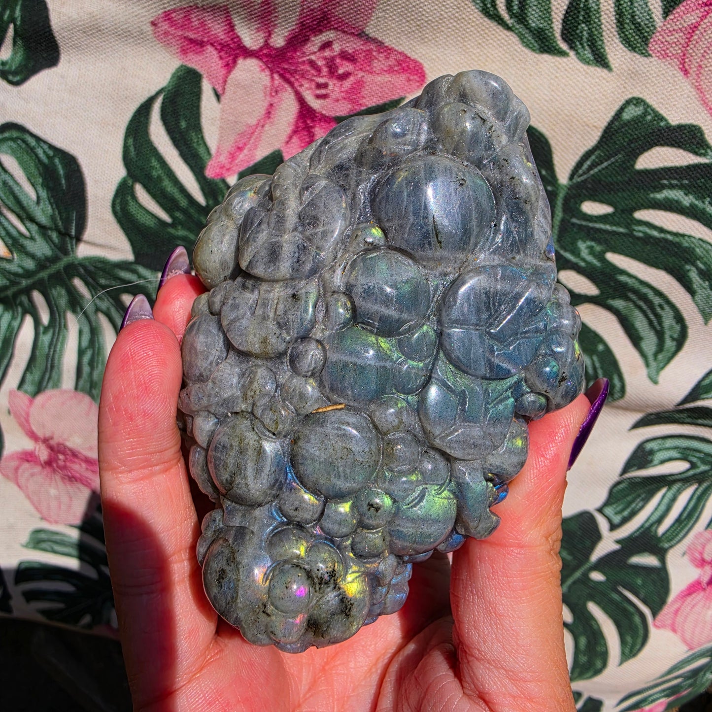 Labradorite money toad 6